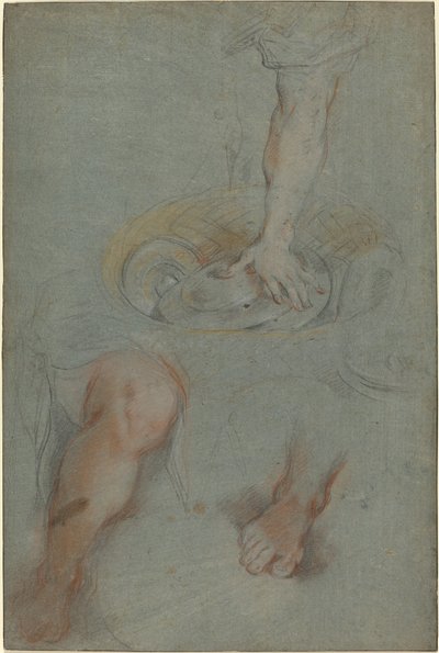 Studier for en tjener i "Den sidste nadver" af Federico Barocci