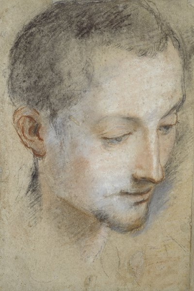 Studie af en ung mands hoved (sort, rød og pink kridt på gråligt papir) af Federico Barocci