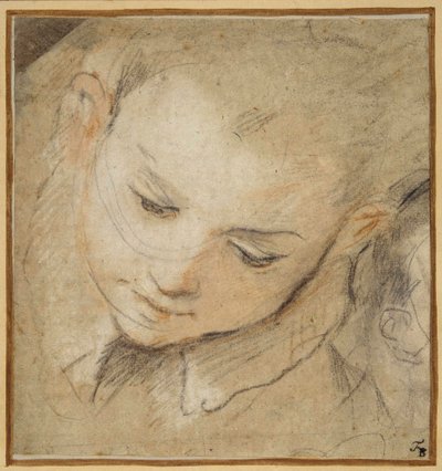 Hovedet af en dreng, der kigger ned af Federico Fiori Barocci or Baroccio
