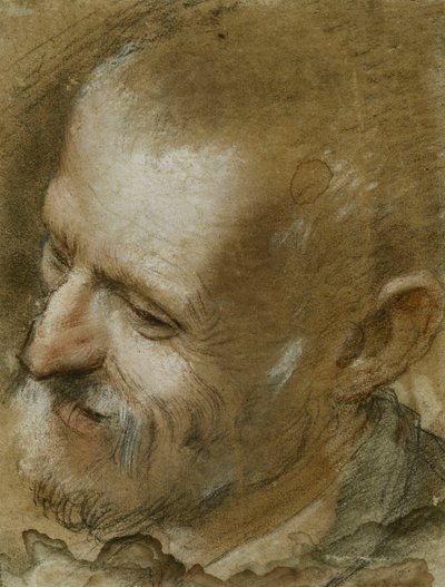 Studie af hovedet af en skægget mand vendt til venstre, 1590 af Federico Fiori Barocci or Baroccio