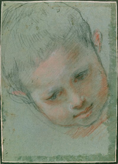 The Head of a Boy, ca. 1586-89 sort, rød, hvid og kødtonet kridt) af Federico Fiori Barocci or Baroccio