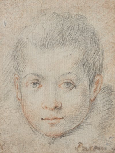 Hoved af en dreng af Federico Zuccaro