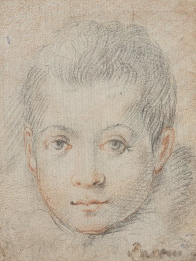  af Federico Zuccaro
