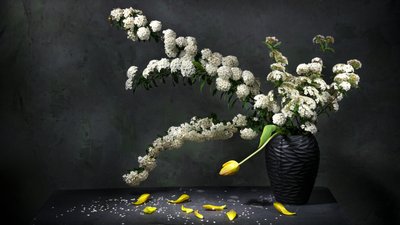 Elegant blomsterstilleben af Felice Angelino