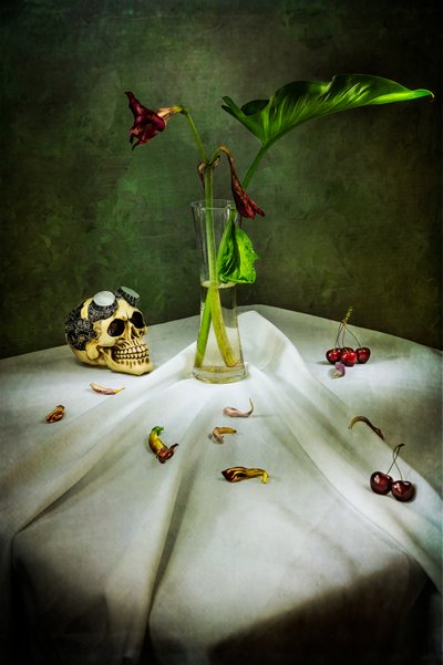 Gothic Skull Vanitas af Felice Angelino