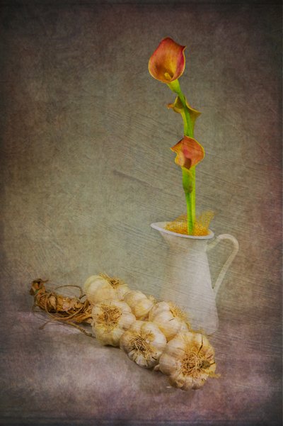 Rustikke hvidløgs-calla-liljer af Felice Angelino