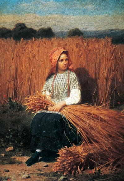 Gleaner af Felice Barucco