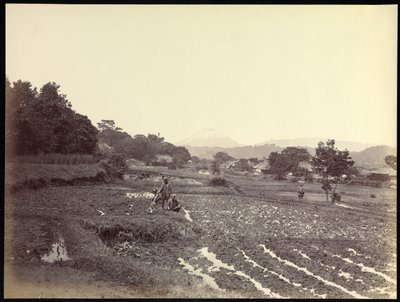 Fujiyama fra den nye vej af Felice Beato