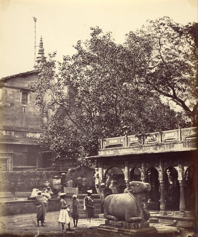 Sacred Well (Benares) af Felice Beato