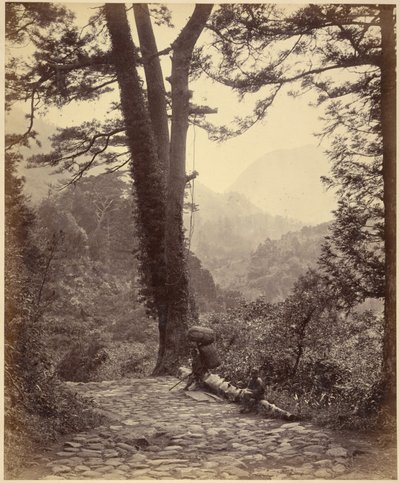 Udsigt over Hakone-passet af Felice Beato