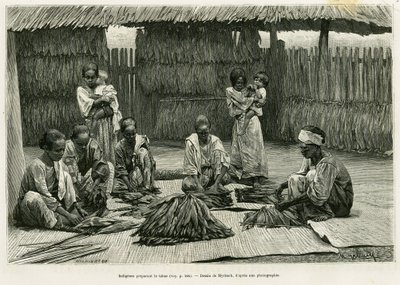 Oprindelige mennesker, der laver tobak. Gravering af Myrbach til illustration af historien Lucon og Palaouan, seks år i Filippinerne, af Alfred Marche (1844-1898), i le tour du monde 1886, instrueret af Edouard Charton (1807-1890), Hachette, Paris. af Felicien baron de Myrbach-Rheinfeld