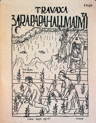 Et Inca Hatun Runa-par, der arbejder på markerne i januar (blæktegning af Felipe Huaman Poma de Ayala