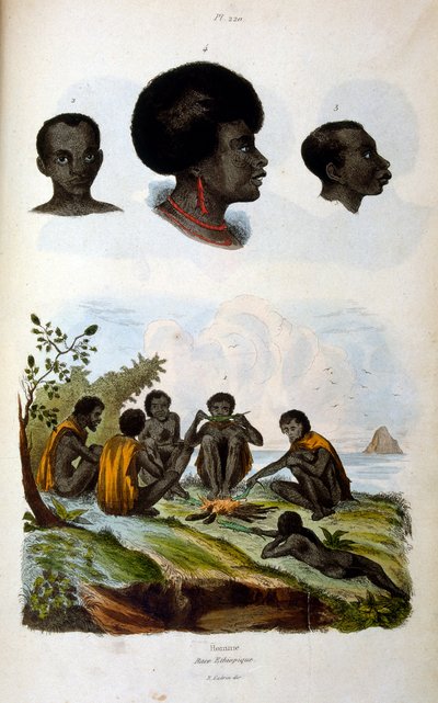 Antropologisk illustration af den etiopiske race af Felix-Edouard Guerin