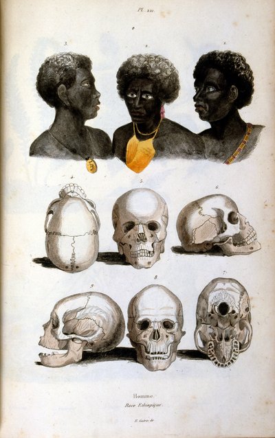 Antropologisk illustration af den etiopiske race af Felix-Edouard Guerin