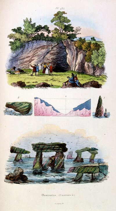 Botanisk og zoologisk illustration af F. E. Guerin. Fra Dictionnaire pittoresque d