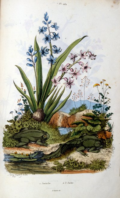 Tudse af Felix-Edouard Guerin