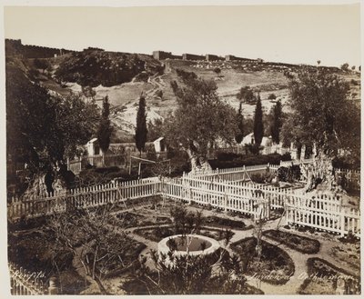 Getsemane Have nr. 303 af Félix Bonfils