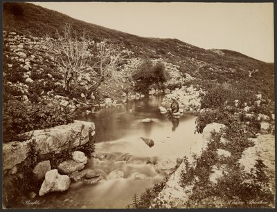 Elisas kilde, Palæstina af Félix Bonfils