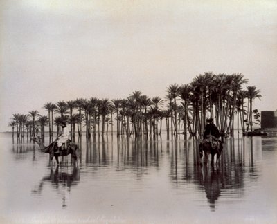 Mænd på kameler, mens de krydser et egyptisk ørkenområde, der er oversvømmet af Nilen, Egypten af Félix Bonfils