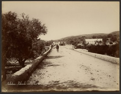 Palæstina - Kolonick, Terebinth-dalen af Félix Bonfils