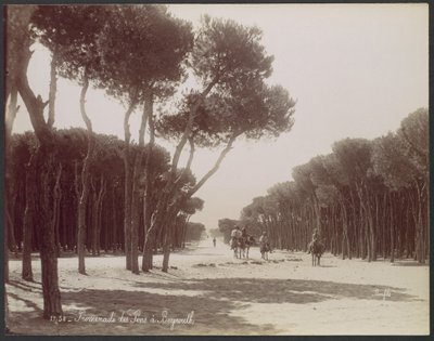 Pinjepromenaden i Beirut af Félix Bonfils