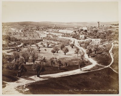 Dal i ... Palæstina #313 af Félix Bonfils