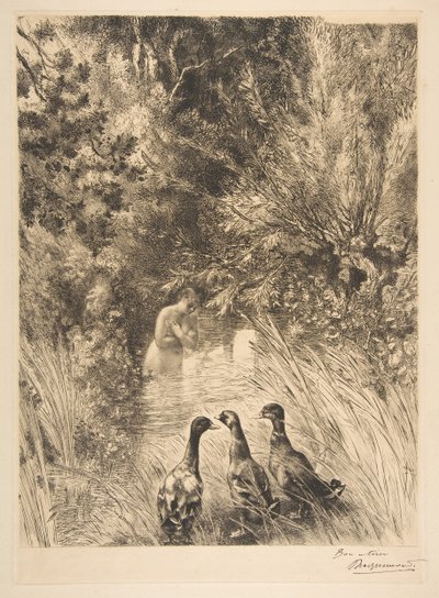Overraskede ænder, 1882. af Felix Bracquemond