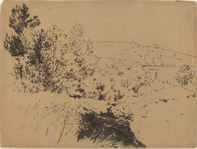 Kystlandskab af Felix Bracquemond
