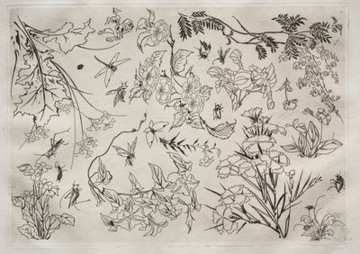 Middagsservice (Rousseau-service): Blomster (nr. 22) af Felix Bracquemond