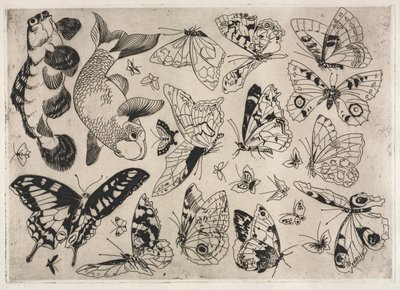Middagsservice Rousseau-service: Sommerfugle og fisk nr. 16, 1866. af Felix Bracquemond