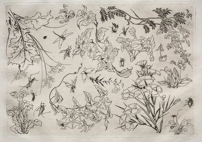 Middagsservice Rousseau-service: Blomster nr. 22, 1866. af Felix Bracquemond