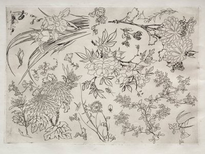 Middagsservice Rousseau-service: Blomster nr. 23, 1866. af Felix Bracquemond