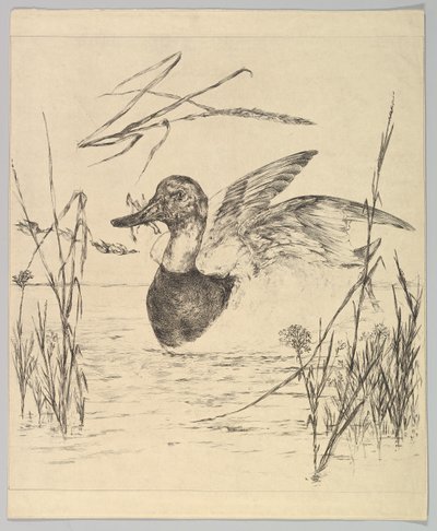 And, 1850-1914. af Felix Bracquemond