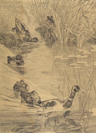 And Frolic, 1850-1914. af Felix Bracquemond