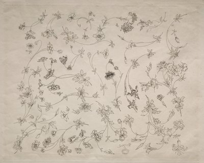 Blomsterdesign til tallerkener og border nr. 14, 1872. af Felix Bracquemond