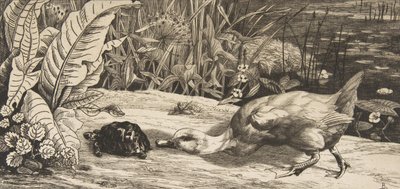 Det ukendte, 1862. af Felix Bracquemond