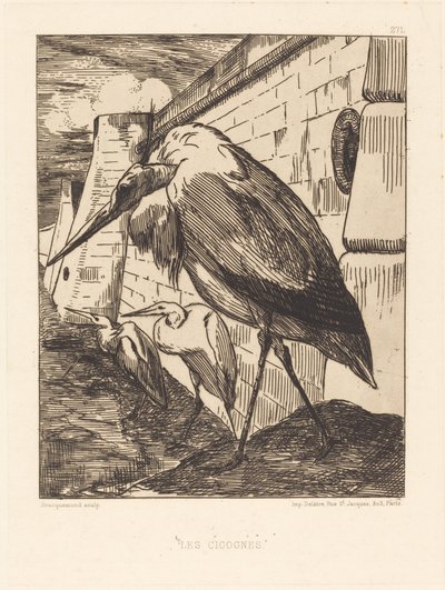 Les Cigognes (Storkene) af Felix Bracquemond