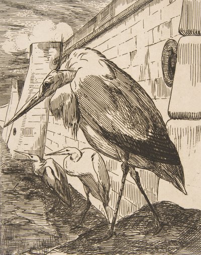 Storkene, 1870