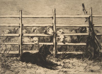Hyrdede får, 1856. af Felix Bracquemond