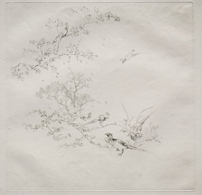Parisertjeneste (Haviland-tjeneste) af Felix Bracquemond