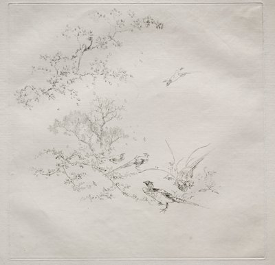 Parisertjeneste (Haviland-tjenesten): Tåge (nr. 1) af Felix Bracquemond