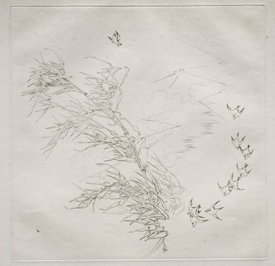 Parisertjeneste Haviland-tjeneste: Stormen no. 8, 1875. af Felix Bracquemond