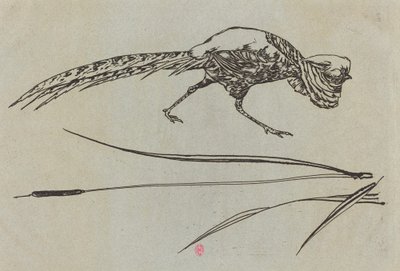 Fasan af Felix Bracquemond