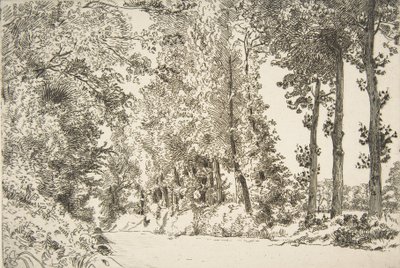 Rue des Bruyères, i Sèvres, 1868. af Felix Bracquemond
