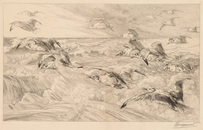 Måger af Felix Bracquemond