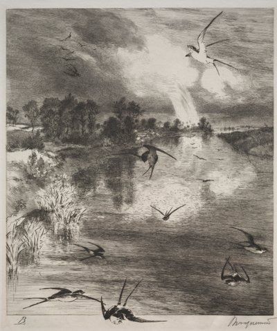 Svaler, 1882. af Felix Bracquemond