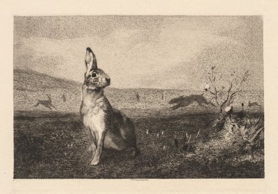 Haren af Felix Bracquemond