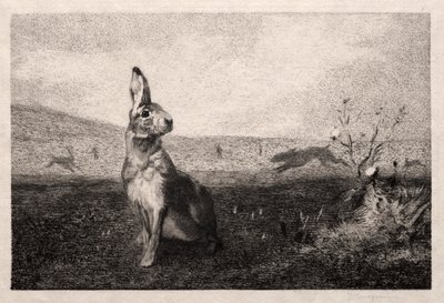 Haren efter A. de Balleroy, 1865. af Felix Bracquemond