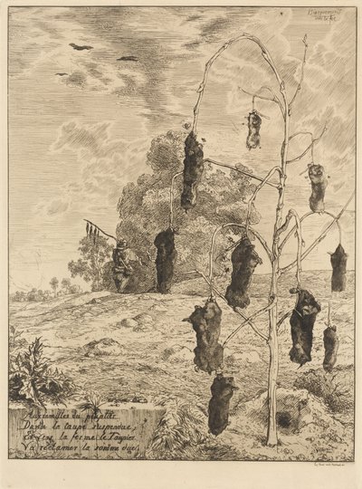 Muldvarpene af Felix Bracquemond