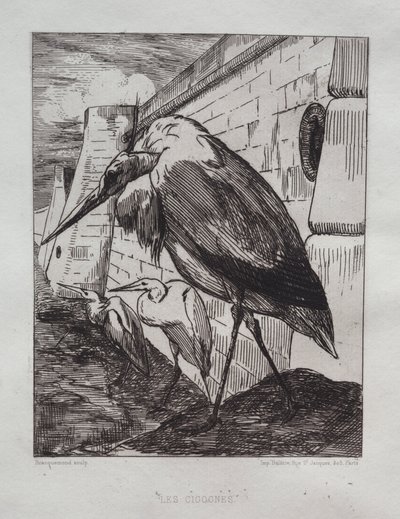 Storkene af Felix Bracquemond